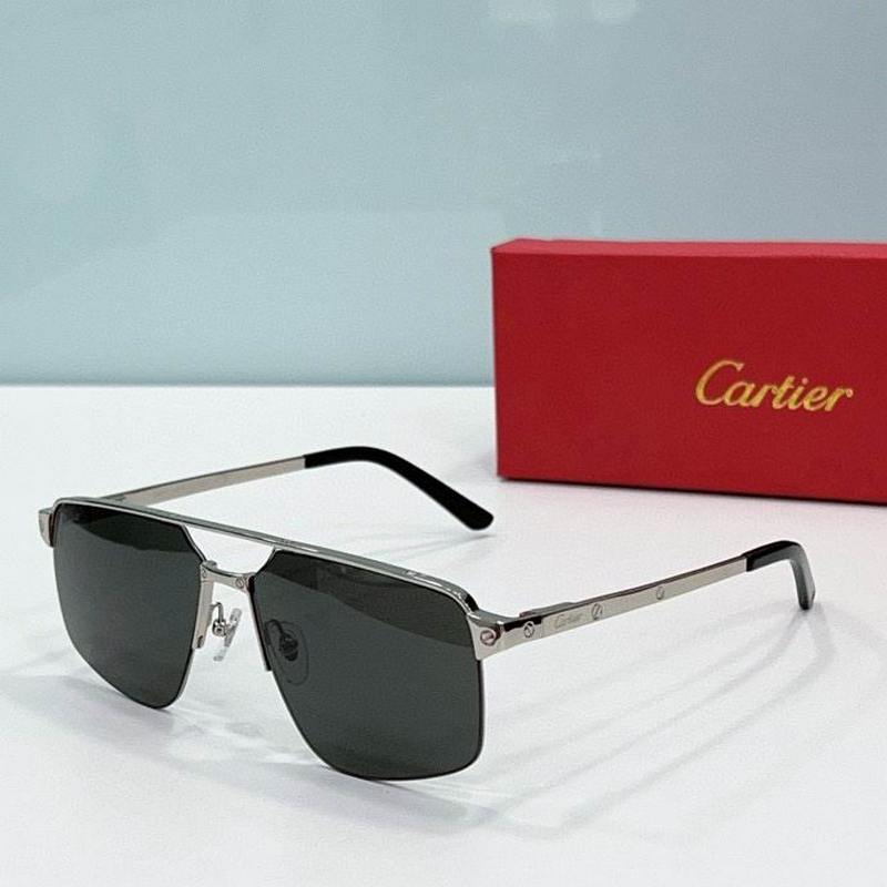 Cartier Sunglasses 869